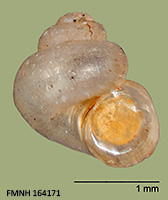 click to view larger