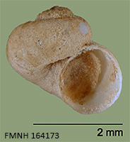 click to view larger